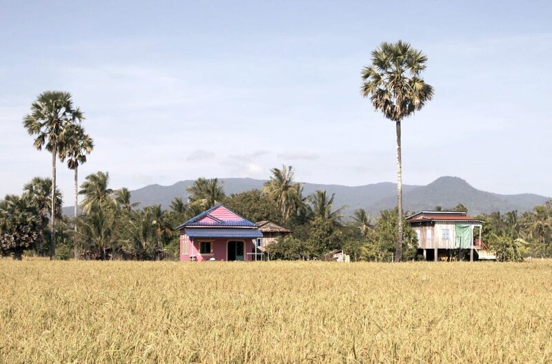 Kambodscha hat eine sehr erdverbundene und ernteorientierte Kultur. Auch heute noch ist die Landwirtschaft eine der Säulen der kambodschanischen Wirtschaft. – Bild: Elephant Doc
