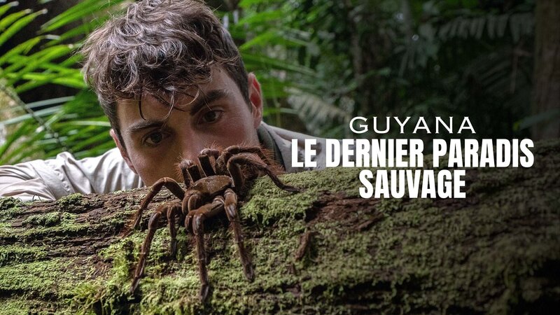 Guyana - Der letzte Garten Eden – Bild: Arte