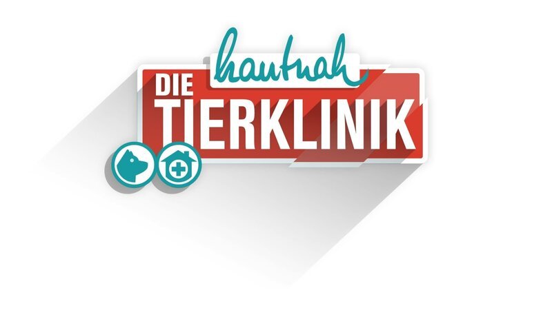 Logo – Bild: VOX