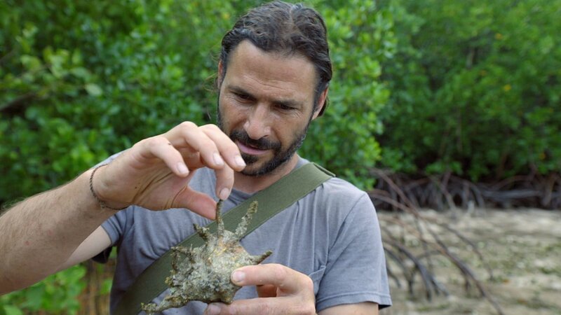 Hazen Audel untersucht eine Spinnenmuschel. – Bild: Alex Holden /​ National Geographic/​Icon Films