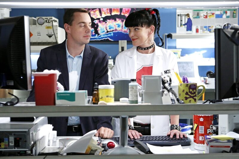 Ein neuer Fall wartet auf Abby (Pauley Perrette, r.) und McGee (Sean Murray, l.) … – Bild: CBS Television Lizenzbild frei