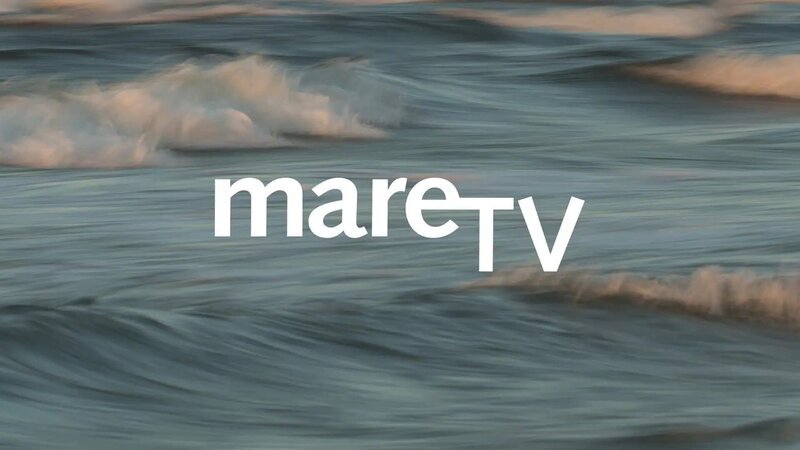 Bild: ndr