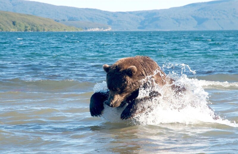 Bild: RTL /​ Off The Fence Production