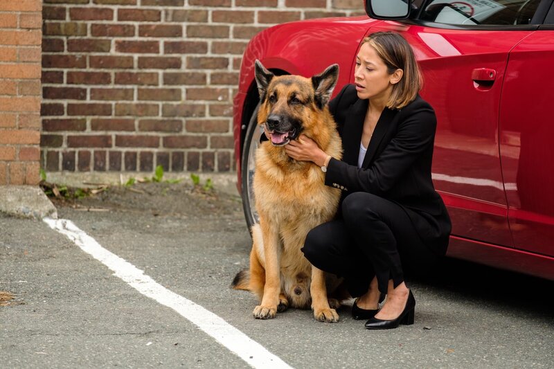 Rex und Sarah Truong (Mayko Nguyen) – Bild: D.CARBERRY /​ Derm Carberry