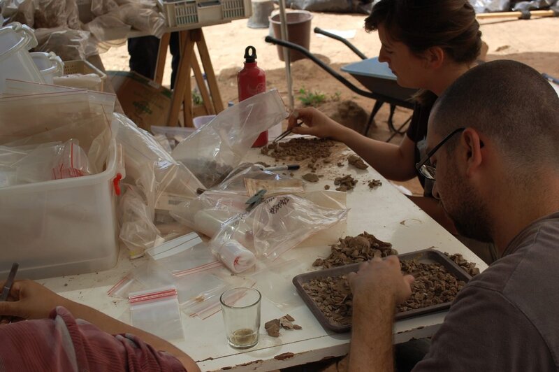 Archaeologists examine the skeleton of a child discovered in a cave in Morocco. – Bild: PLURIMEDIA (National Geographic Television)
