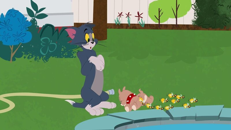 v.li: Tom, Tyke – Bild: Cartoonito