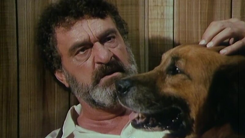 01 engel-auf-erden hundehimmel – Bild: Bibel TV