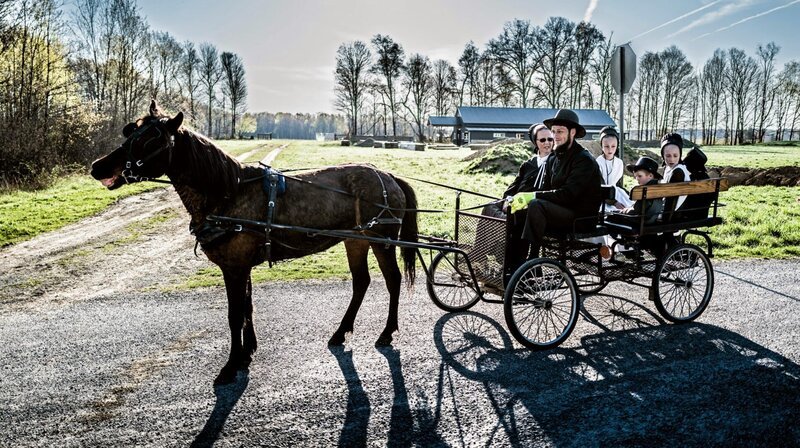 Amish – Bild: phoenix/ZDF/Barbara Völkel Amish – Bild: phoenix/ZDF/Barbara Völkel