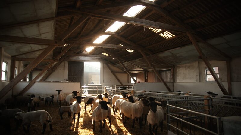 . – Bild: Warner Bros. Discovery