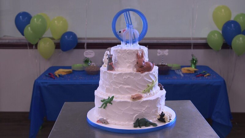 Beauty of finished cake. – Bild: TLC