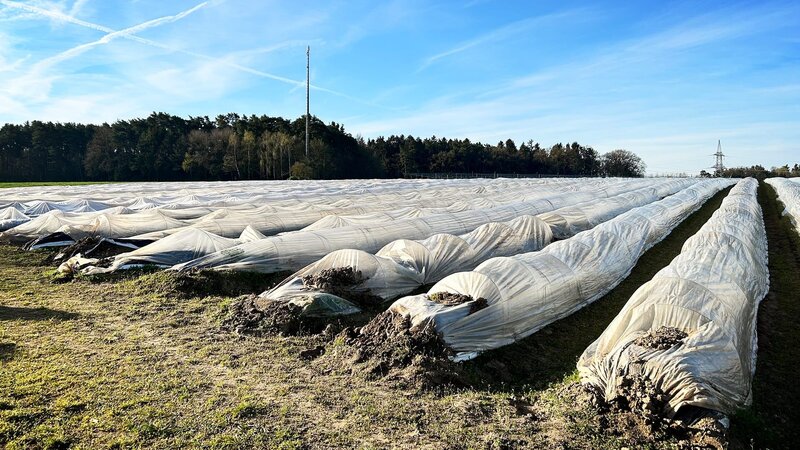 . – Bild: Warner Bros. Discovery