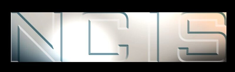 (17. Staffel) – NAVY CIS – Logo – Bild: 2019 CBS Broadcasting, Inc. All Rights Reserved. Lizenzbild frei