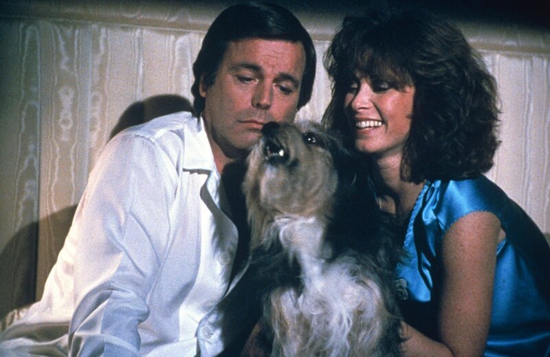 Robert Wagner, Stefanie Powers – Bild: CPT Holdings, Inc.