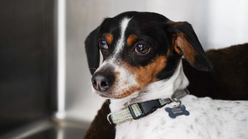 . – Bild: Warner Bros. Discovery