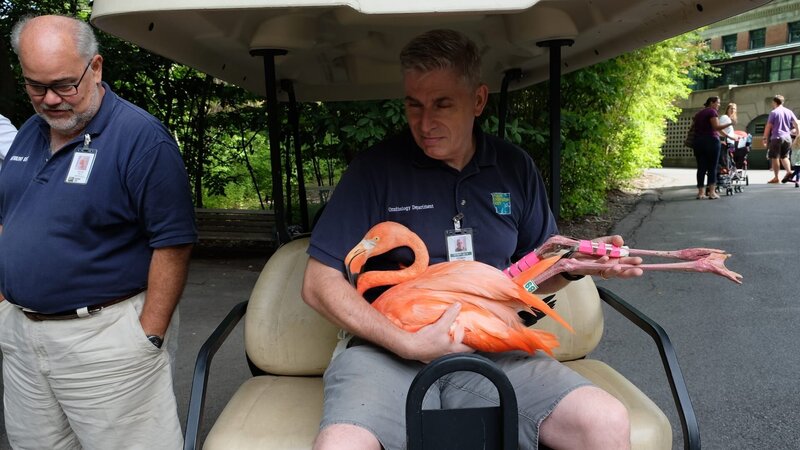 William Doyle holds Dinky during transportation. Kevin Hills standing next to him. – Bild: Discovery Communications