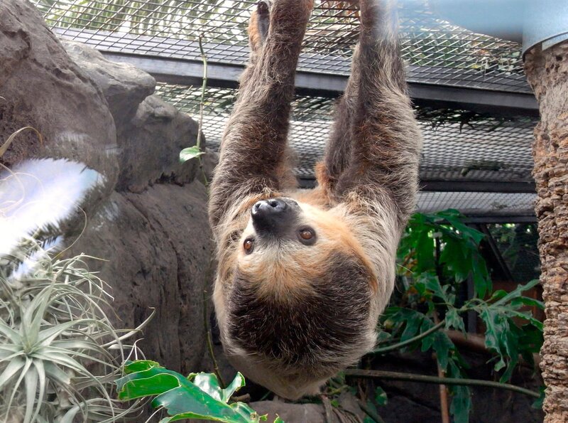 Marc Namblard nimmt die Klänge eines traditionellen Wayapi-Tanzes auf. – Bild: ARTE F