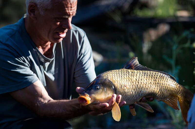 Landscape shot, CU Jeremy Wade looks at a carp he’s holding in his hands. – Bild: Discovery Communications, LLC