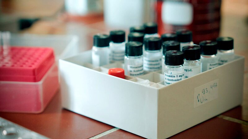 Vergleichsproben des Gifts aus der Nudelsuppe. – Bild: HR