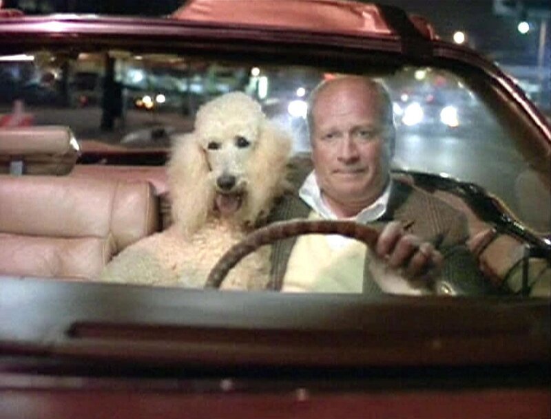 Bill Boyle (Ken Howard) hat unerwartet Freundschaft mit dem Pudelrüden Jack geschlossen. – Bild: Super RTL