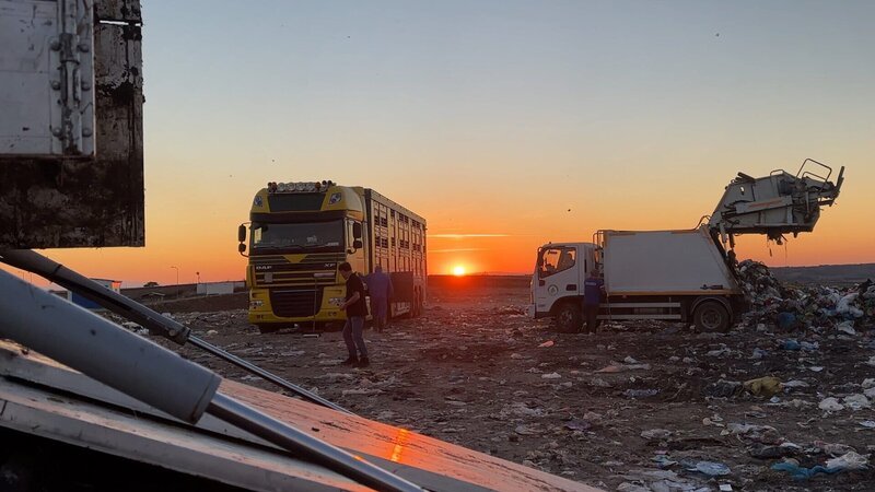 Ein Müllplatz in der Türkei, auf dem tote Kühe aus Deutschland entsorgt werden. – Bild: ZDF