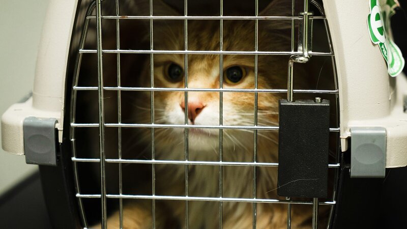 . – Bild: Warner Bros. Discovery