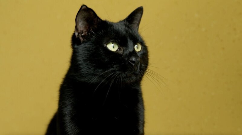 Bild: sixx
