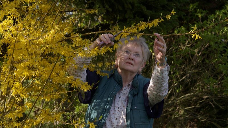 Bild: Blink Entertainment Ltd