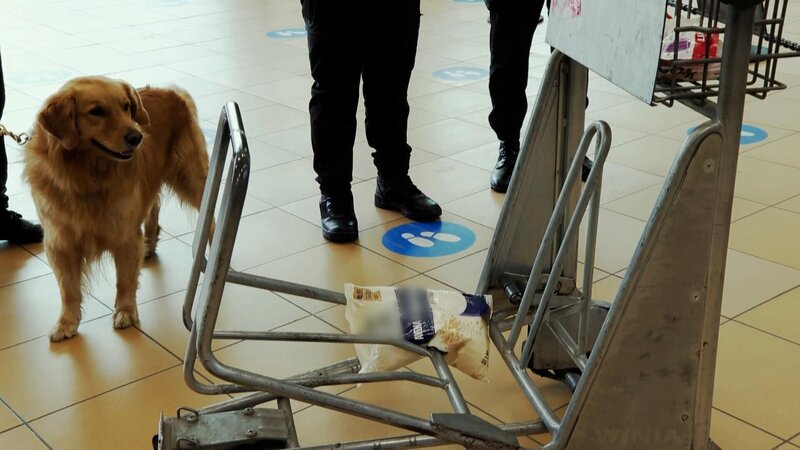 Border Patrol – Bild: RTL /​ OMAVA LLC