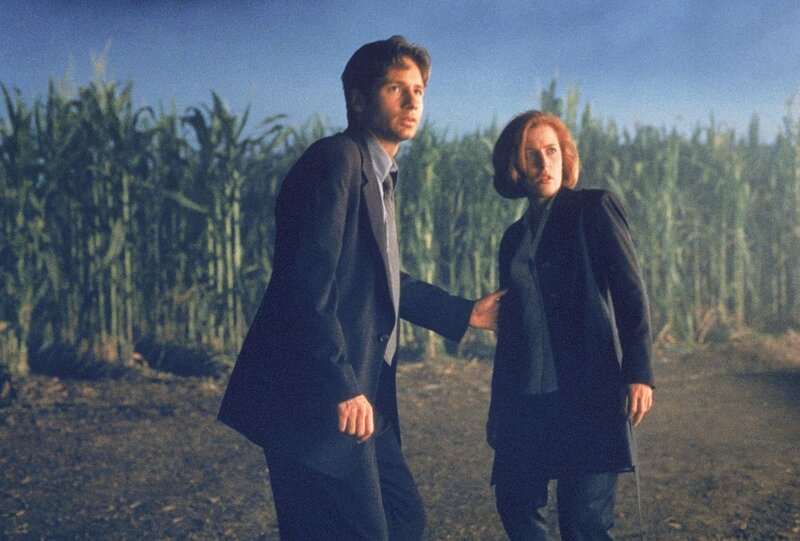 L-R: Agent Fox Mulder (David Duchovny), Agent Dana Scully (Gillian Anderson) – Bild: port.hu