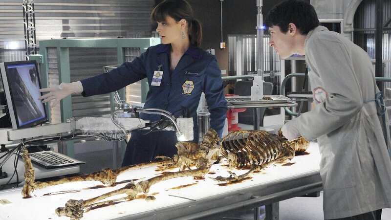 Brennan (Emily Deschanel) und Vincent Nigel-Murray (Ryan Cartwright) untersuchen die sterblichen Überreste einer Frau, die in einer ausgestellten Riesenschokolade einer Schokoladenfabrik gefunden wurde. – Bild: RTL /​ TVNOW