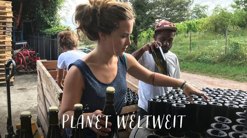 Crémant – Bild: tv.gusto Crémant – Bild: tv.gusto