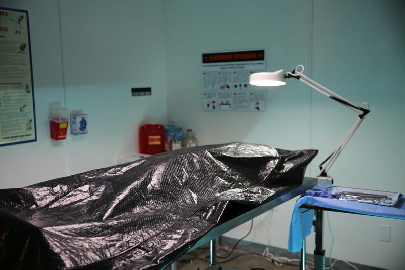 Bild: Jupiter Entertainment