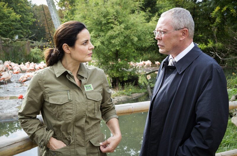 OB Herrenbrück (Frank Sieckel, rechts) bittet Tierärztin Dr. Mertens (Elisabeth Lanz) um Unterstützung. – Bild: ARD/​BR/​Steffen Junghans