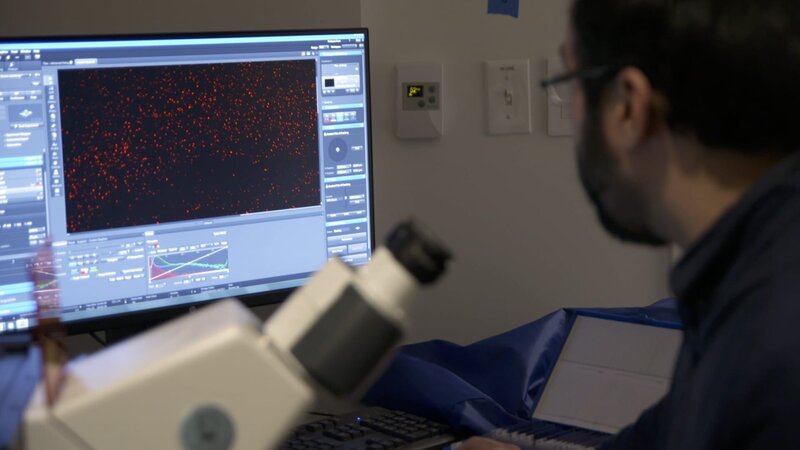 Bild: Prometheus Entertainment Lizenzbild frei