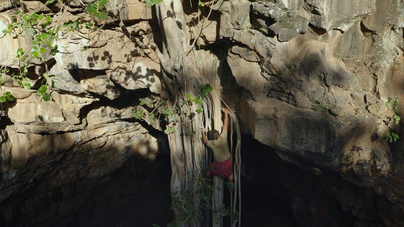 Hazen Audel klettert über Baumwurzeln zum Eingang der Höhle. – Bild: National Geographic for Disney