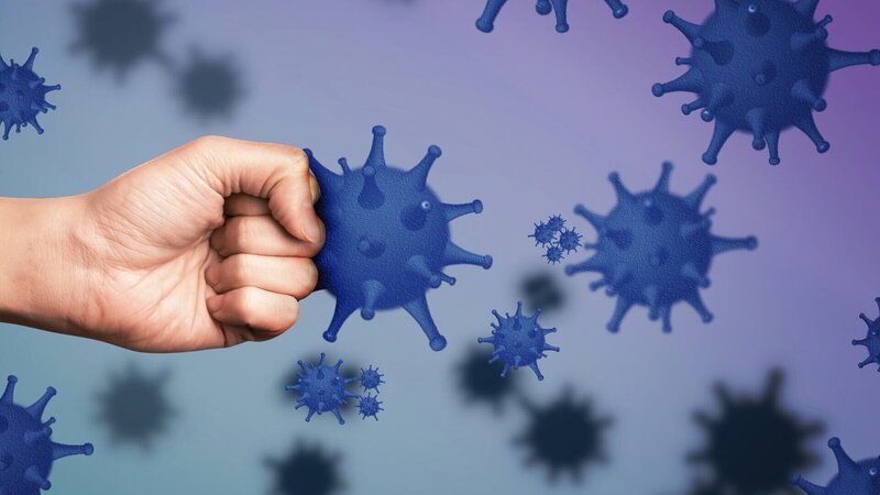Das Immunsystem kämpft unermüdlich gegen Krankheitserreger und wehrt Viren ab, um den Körper zu schützen. – Bild: SRF/​NEW DOCS