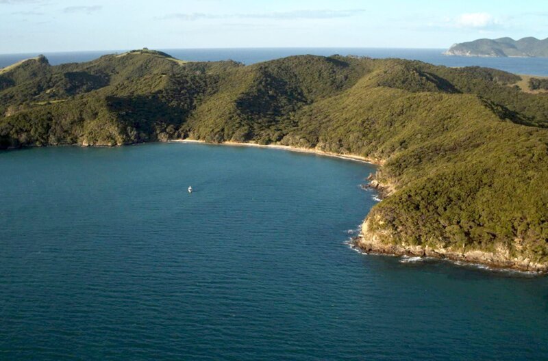 Als Friedensreich Hundertwasser 1973 erstmals nach Neuseeland reiste, war er 45 und in seiner Heimat Österreich bereits ein berühmter Maler. – Bild: Elephant Doc