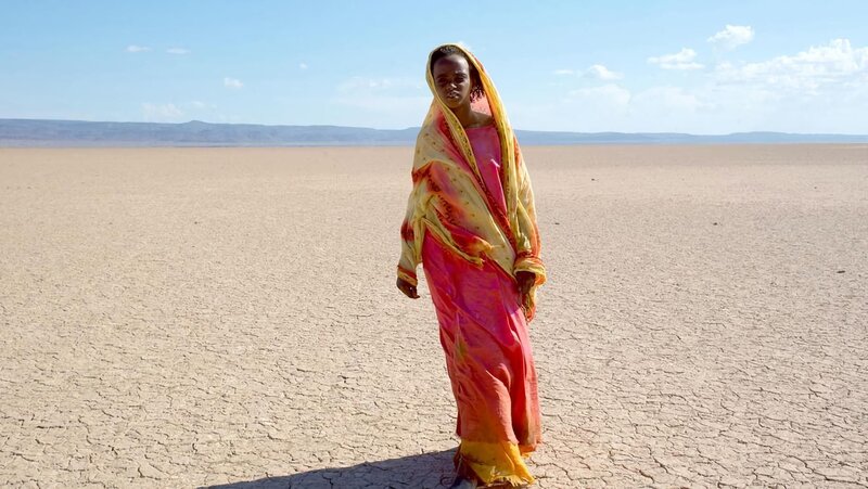 Wüstenblume – Bild: ART