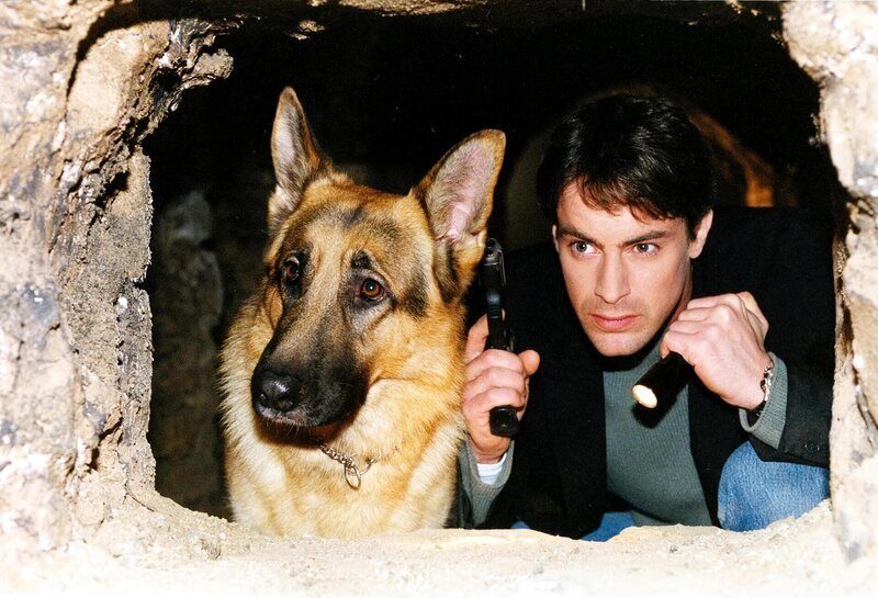 Rex und Kommissar Brandtner (Gedeon Burkhard) machen sich in den Katakomben von Wien auf die Suche nach dem berüchtigten Bankräuber Hanusch. – Bild: Sat.1 Emotions Rex und Kommissar Brandtner (Gedeon Burkhard) machen sich in den Katakomben von Wien auf die Suche nach dem berüchtigten Bankräuber Hanusch. – Bild: Sat.1 Emotions