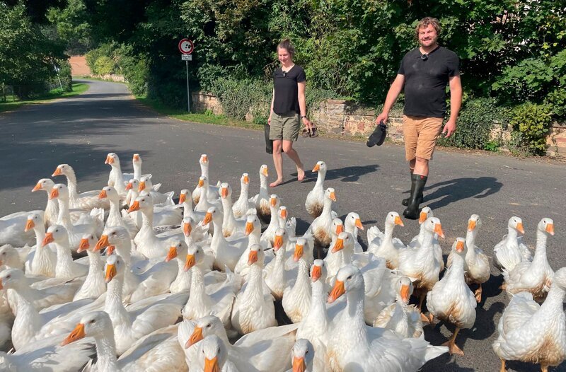 Franziska und Gregor sorgen mit ihrem Bauernhof mitten im nordhessischen Gilsa für Aufsehen. – Bild: HR