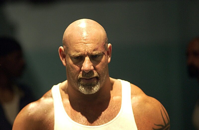 Wenn es um das Wohl seiner Tochter geht, versteht Burk (Bill Goldberg) keinen Spaß. Das wird auch Bandenchef Cortez bald zu spüren bekommen … – Bild: pro7