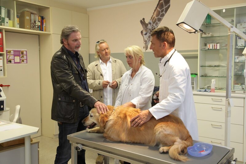 Nowak und Ribarski sprechen mit Tierarzt Dr. Hofner über den Mord an seinem Bruder Manuel. (v.l.n.r.: Major Carl Ribarski (Stefan Jürgens), Oberstleutnant Helmuth Nowak (Gregor Seberg), Komparsin, Dr. Robert Hofner (Helmuth Hausler)).  „SOKO Wien – Freunderlwirtschaft“: Oberstleutnant Nowak und Major Ribarski bei Dr. Hofner.  Fotograf: Stefan Haring – Bild: Bavaria Media GmbH /​ Die Verwendung ist nur bei redaktioneller Berichterstattung im Rahmen einer Programmankündigung ab 2 Monate vor der ersten Auss /​ © Bavaria Media