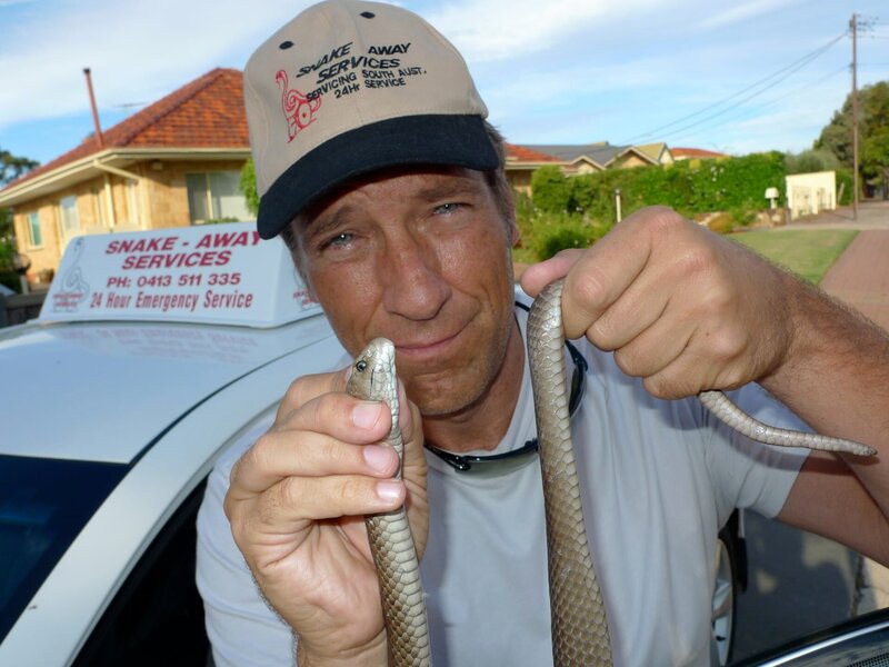 Mike Rowe – Bild: Discovery Communications, Inc.