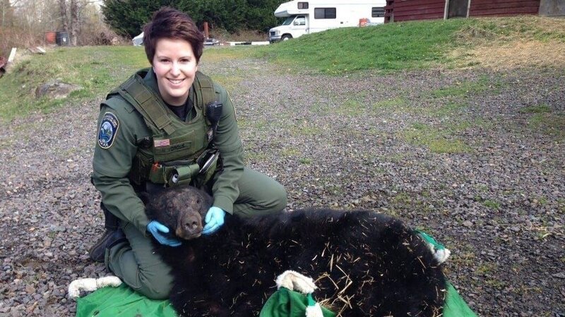 Officer Porous with a sedated black bear. – Bild: Animal Planet /​ Discovery Communications