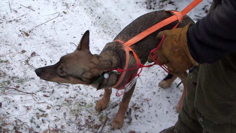 Charlie kämpft mit Hilfe der Dorfbewohner darum, die Wasserversorgung von Tanana zu retten. Der Vater von Chris Morse, Stuart, hilft beim Aufbau einer wichtigen Infrastruktur. – Bild: Discovery Channel