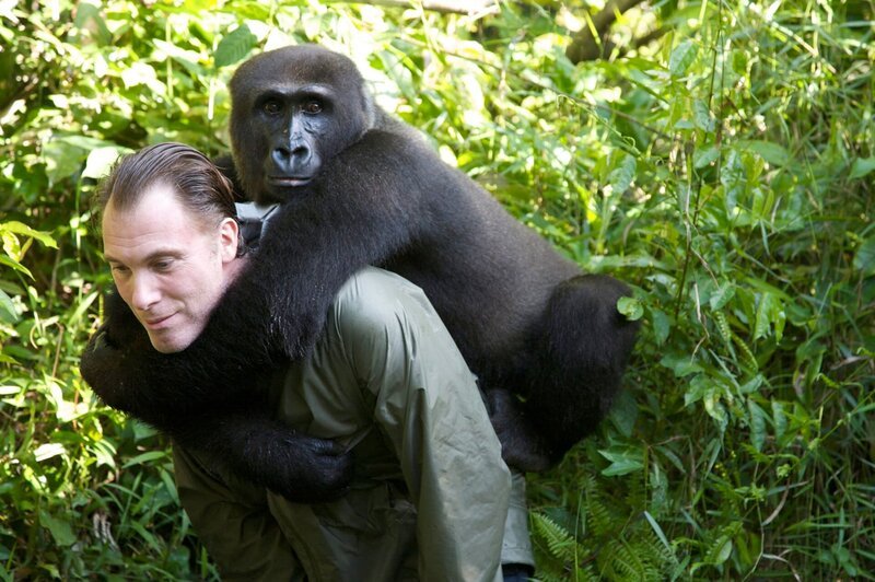 Damian Aspinall mit Gorilla – Bild: Copyright: Discovery Communications, Inc. For Show Promotion Only