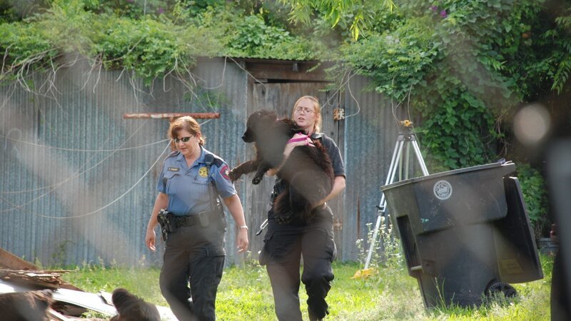 Agents carry the dogs out. – Bild: Discovery Communications