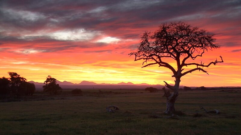 Sonnenaufgang in Umkgondo. – Bild: NDR/​Vincent TV GmbH
