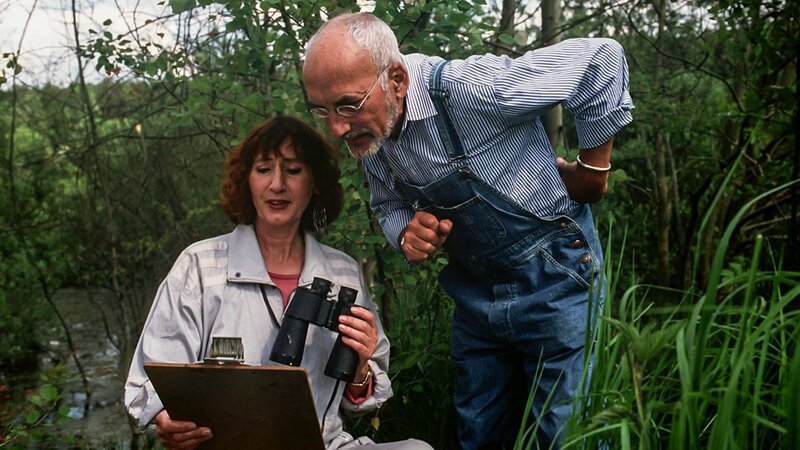 Frösche, Kröten, Lurche, Molche und Salamander – die Amphibien-Familie ist groß und Peter (Peter Lustig, r.) erforscht sie begeistert mit einer Biologin (Christine Flegel, l.). – Bild: ZDF und studio tv
