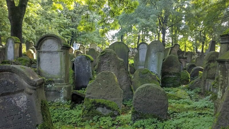 Jüdische Grabsteine am Friedhof Tarnow. – Bild: ORF Jüdische Grabsteine am Friedhof Tarnow. – Bild: ORF